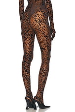 Alex Perry Leopard Burnout Mesh Stocking in Tobacco, view 4, click to view large image.