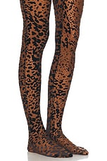 Alex Perry Leopard Burnout Mesh Stocking in Tobacco, view 6, click to view large image.