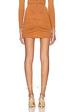 Alex Perry Patton Ruched Mini Skirt in Brown, view 3, click to view large image.