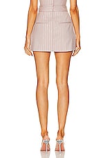 Alex Perry Mini Crystal Pinstripe Skirt in Taupe, view 3, click to view large image.