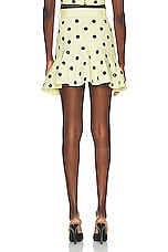 AREA Polka Dot Ruffle Mini Skirt in Cream Yellow, view 3, click to view large image.