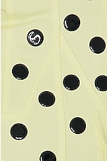AREA Polka Dot Ruffle Mini Skirt in Cream Yellow, view 5, click to view large image.