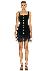 Alessandra Rich Velvet Mini Dress With Feathers in Black, view 1, click to view large image.