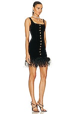 Alessandra Rich Velvet Mini Dress With Feathers in Black, view 2, click to view large image.