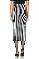 Alessandra Rich Pinstripe Knitted Midi Skirt in Black & White, view 3, click to view large image.
