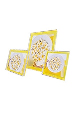 Alexandra Von Furstenberg Snap Frame in Yellow, view 1, click to view large image.