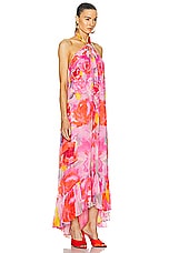 HEMANT AND NANDITA Rosa Long Dress in Pink Floral, view 2, click to view large image.