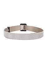 Benedetta Bruzziches Ven Belt in Crystal On Silver, view 2, click to view large image.