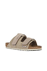 BIRKENSTOCK Uji in Taupe, view 2, click to view large image.