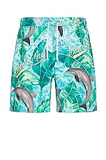 Blue Sky Inn Dolphin Swim Trunks in Blue, view 1, click to view large image.