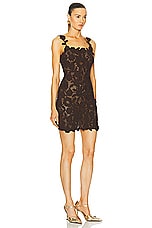 Blumarine Knit Mini Dress in Chocolate Brown, view 2, click to view large image.