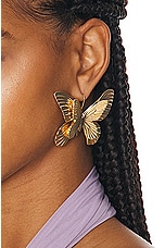 Blumarine Butterfly Earrings in Gold, view 2, click to view large image.