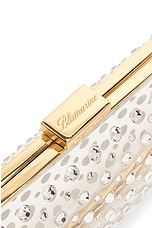 Blumarine Plexi Clutch in Trasparent & Crystal, view 6, click to view large image.