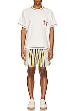 BODE Namesake Stripe Shorts in Ecru Multi, view 5, click to view large image.