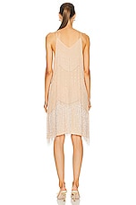 BODE Beaded Shakey Dress in Blush, view 3, click to view large image.