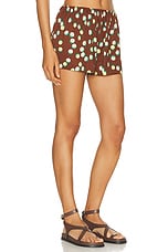 BODE Bubble Dot Short in Brown Multi, view 2, click to view large image.