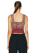 BODE Poulin Fringe Top in Multi, view 3, click to view large image.
