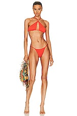 Bond Eye Larisa Bikini Brief in Coral Tiger, view 4, click to view large image.