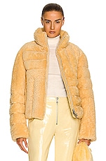 Bottega Veneta Short Teddy Shearling Jacket in Butter, view 1, click to view large image.