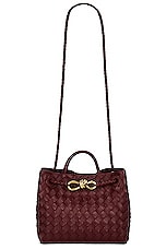 Bottega Veneta Small Andiamo Bag in Barolo & Muse Brass, view 1, click to view large image.