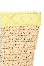 Bottega Veneta Small Prism Pouch in Natural & Sherbert Gold, view 7, click to view large image.