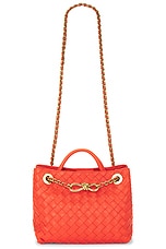 Bottega Veneta Small Andiamo Bag in Orange & Muse Brass, view 1, click to view large image.