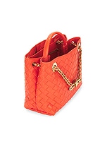 Bottega Veneta Small Andiamo Bag in Orange & Muse Brass, view 6, click to view large image.