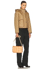 Bottega Veneta Small Padded Cassette Bag in Almond & Gold, view 2, click to view large image.