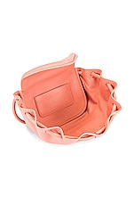 Bottega Veneta Small Beak Bag in Peachy & Silver, view 6, click to view large image.
