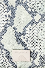 Bottega Veneta Medium Mount Envelope Bag in Dew, Black, & Silver, view 7, click to view large image.