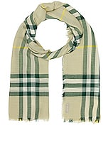 Burberry Check Print Scarf in Hunter, view 1, click to view large image.