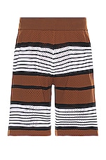 Burberry Triple Striped Short in Dark Birch Brown, view 1, click to view large image.
