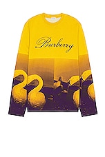 Burberry Football Sweater in Pear Ip Pattern, view 1, click to view large image.