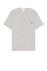 COMME des GARCONS SHIRT T-shirt in Grey, view 1, click to view large image.