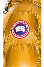 Canada Goose Crofton Puffer in Emblem Gold, view 4, click to view large image.