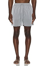 Carhartt WIP Tobes Swim Trunks in Sonic Silver & White, view 4, click to view large image.