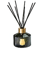 Trudon Home Diffuser in Ernesto, view 1, click to view large image.