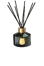 Trudon Home Diffuser in Cyrnos, view 1, click to view large image.