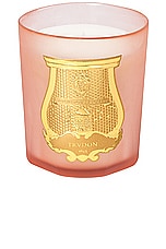 Trudon X Les Archives Nationales Tuileries Candle in Floral & Fruity Chypre, view 1, click to view large image.
