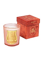 Trudon X Les Archives Nationales Tuileries Candle in Floral & Fruity Chypre, view 2, click to view large image.