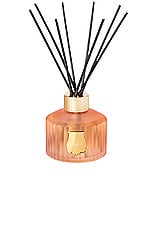 Trudon X Les Archives Nationales Tuileries Diffuser in Floral & Fruity Chypre, view 1, click to view large image.
