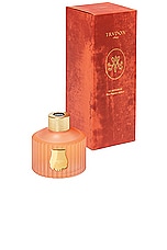 Trudon X Les Archives Nationales Tuileries Diffuser in Floral & Fruity Chypre, view 2, click to view large image.
