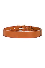 Chloe Joe Belt in Sunset Brown, view 2, click to view large image.