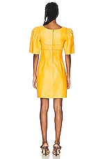 Chloe Classic Napa Leather Dress in Dark Honey, view 3, click to view large image.