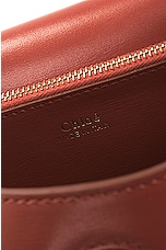 Chloe Small Arlene Crossbody Bag in Autumn Leaf, view 6, click to view large image.