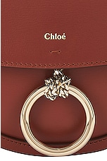 Chloe Small Arlene Crossbody Bag in Autumn Leaf, view 7, click to view large image.