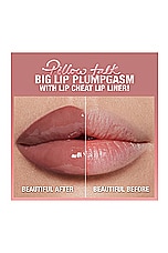 Charlotte Tilbury Pillow Talk Big Lip Plumpgasm in Medium & Deep, view 8, click to view large image.