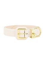 DEHANCHE Jolinard Belt in White & Gold, view 3, click to view large image.