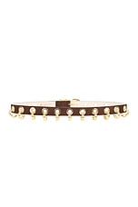 DEHANCHE Revenge Suede Belt in Chocolate & Gold, view 2, click to view large image.