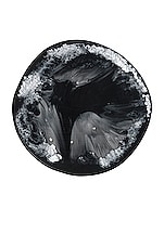 DINOSAUR DESIGNS Set of 4 Boulder Coasters in Black Marble, view 2, click to view large image.